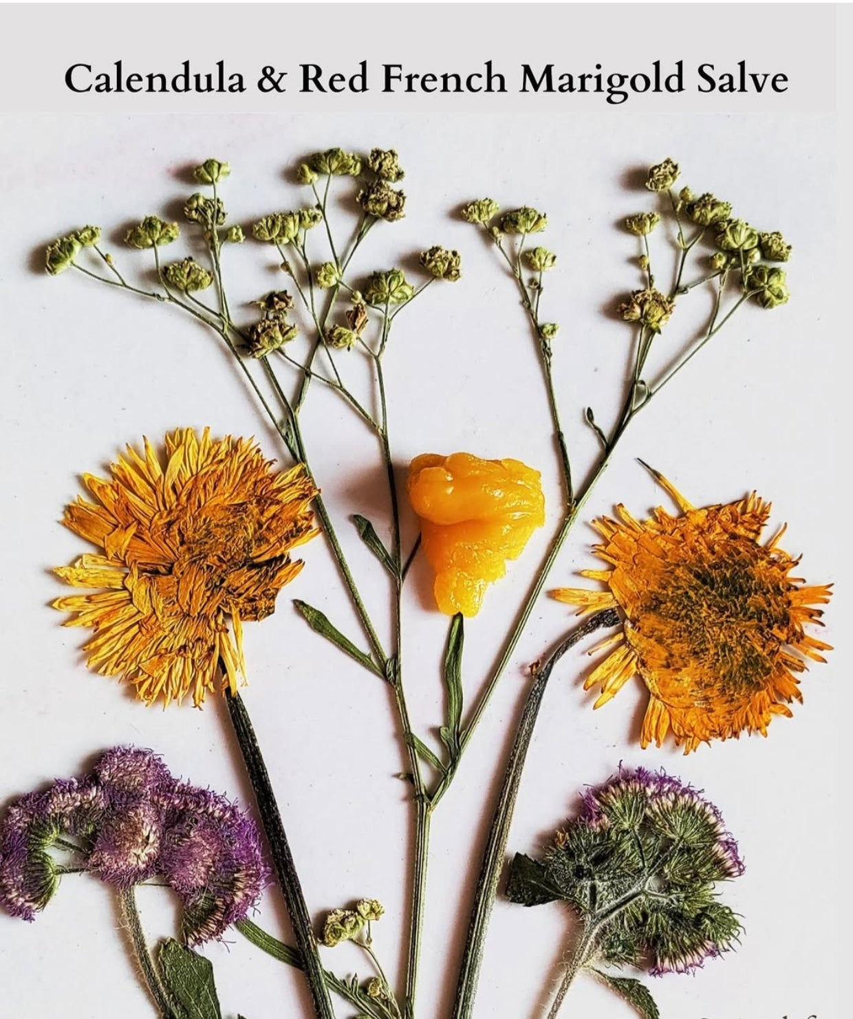 VANAHA BOTANICAL Calendula & Red French Marigold Face Salve 15g