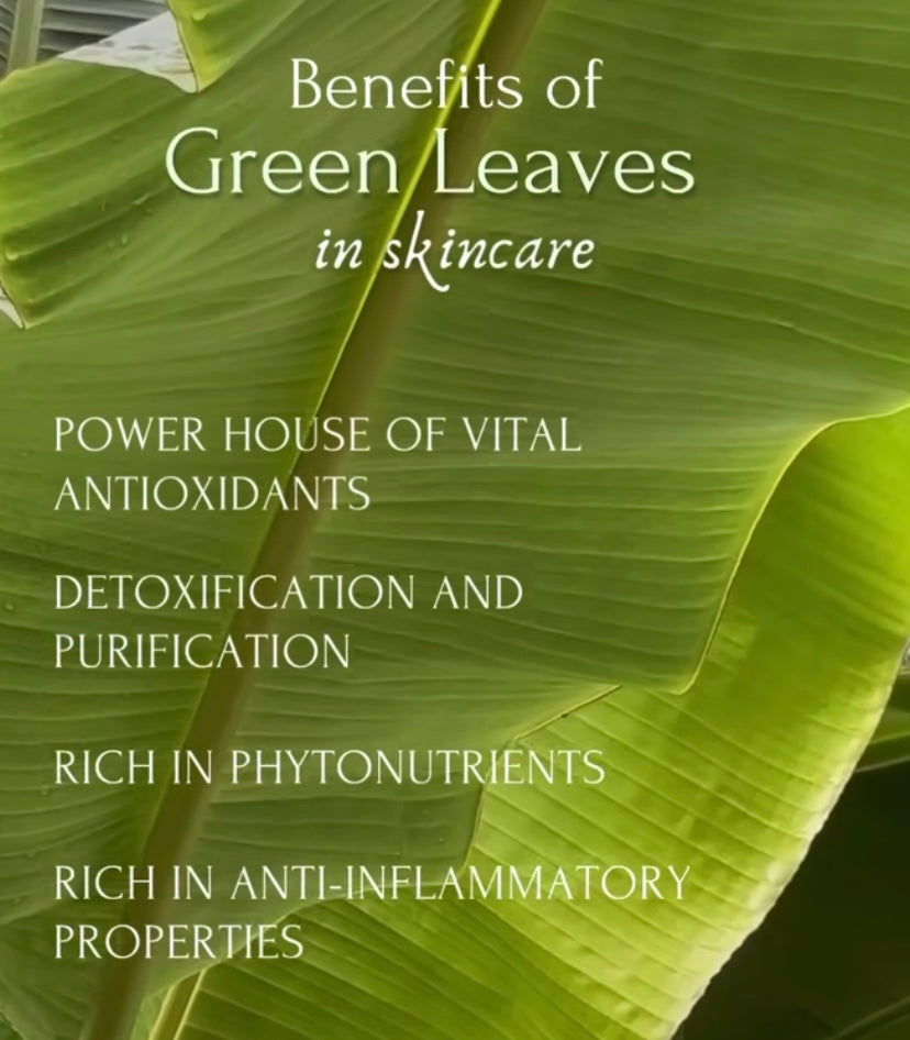 VANAHA BOTANICAL Green Leaves Night Repair Face Balm 15g