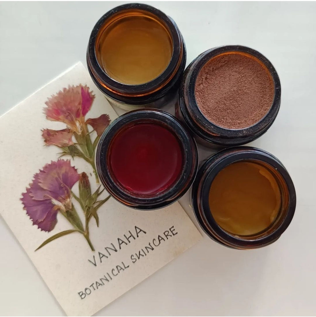 Plant-Powered Beauty: Why Botanical Skincare Outperforms Synthetics — and India Leads the World in Plant Intelligence