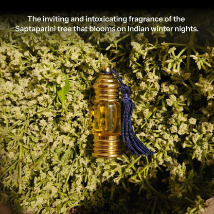 Boond Fragrances | Satparni Natural Perfume Oil (Saptaparni Tree Attar)