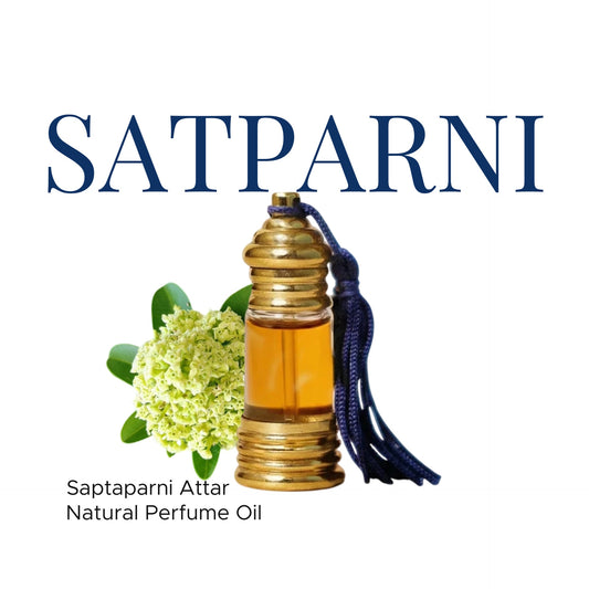 Boond Fragrances | Satparni Natural Perfume Oil (Saptaparni Tree Attar)